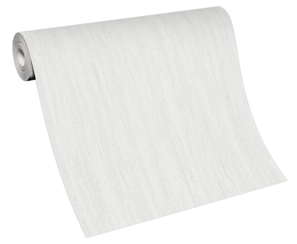 Picture of Evolution - 10322-01