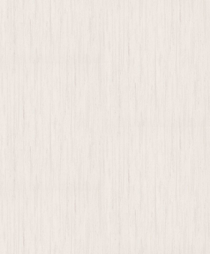 Picture of Evolution - 10322-02