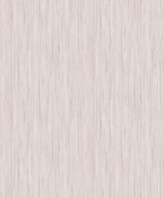 Picture of Evolution - 10322-05