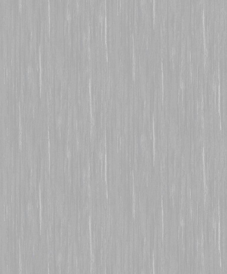 Afbeeldingen van Evolution - 10322-10