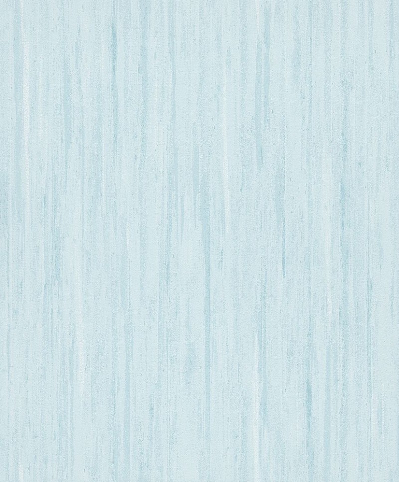 Picture of Evolution - 10322-18