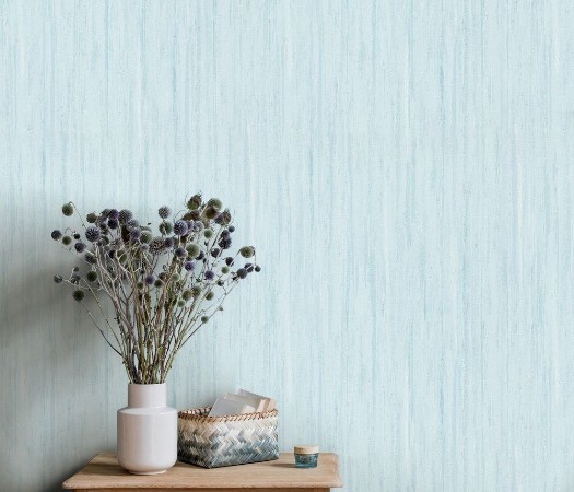 Afbeeldingen van Evolution - 10322-18