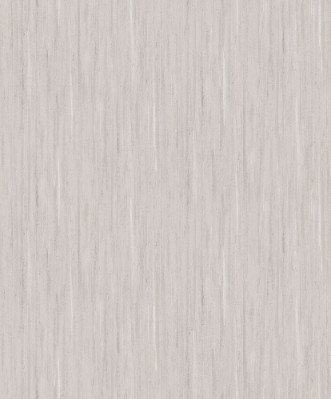 Afbeeldingen van Evolution - 10322-38