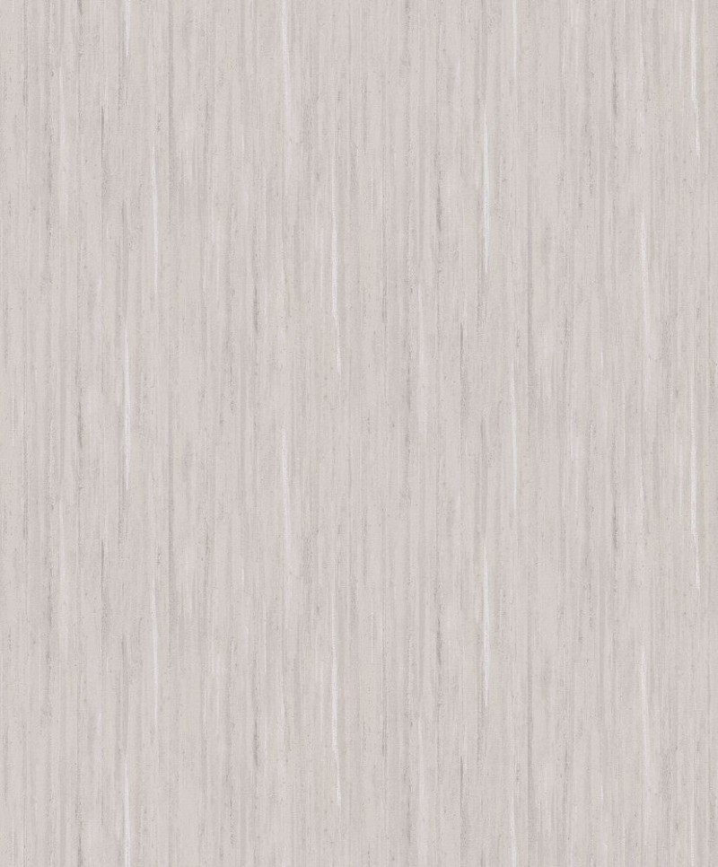 Picture of Evolution - 10322-38