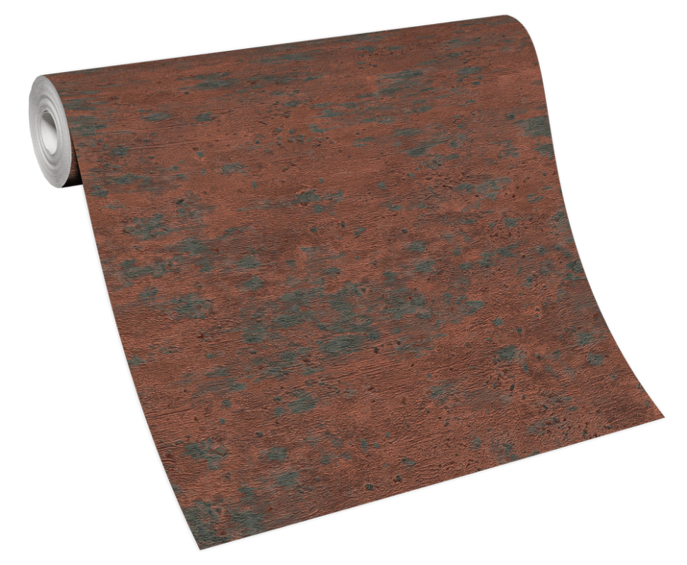 Picture of Focus - 10296-06