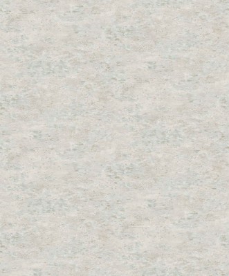 Picture of Focus - 10296-14