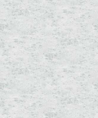 Picture of Focus - 10296-43