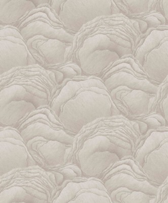 Afbeeldingen van Focus - 10298-14