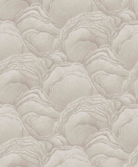 Afbeeldingen van Focus - 10298-14