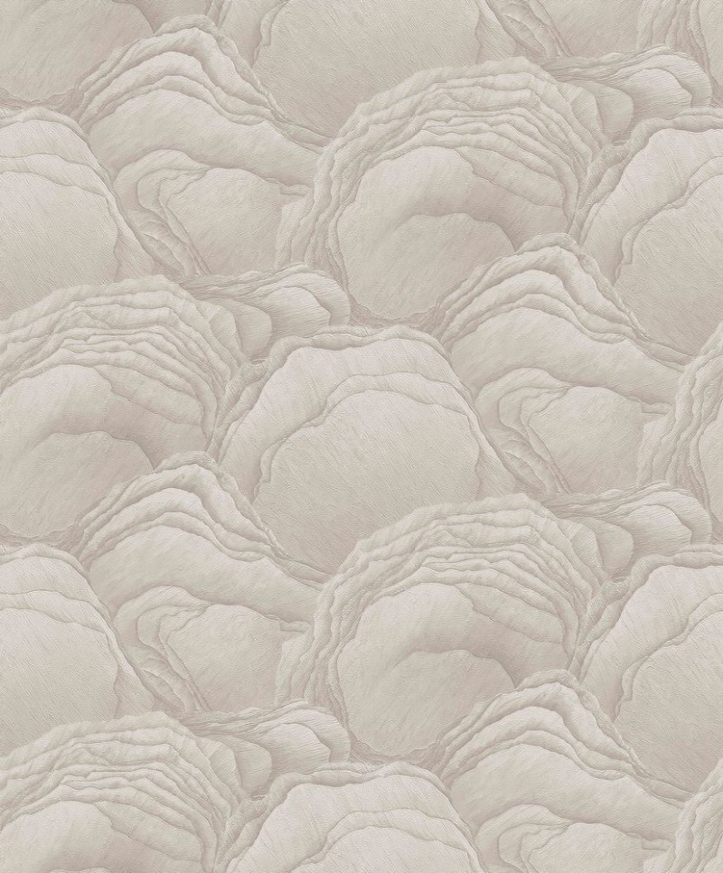 Image de Focus - 10298-14