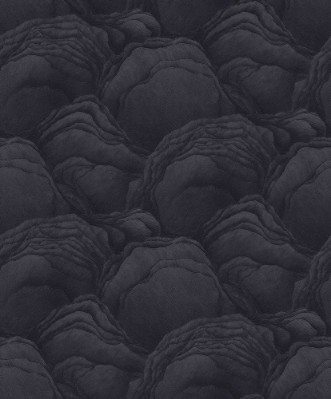 Bild på Focus - 10298-15