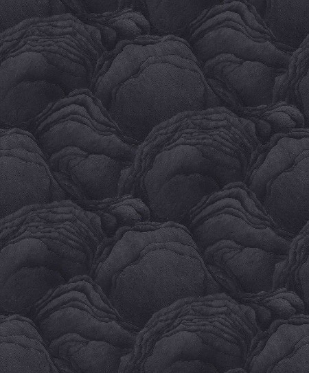 Afbeeldingen van Focus - 10298-15