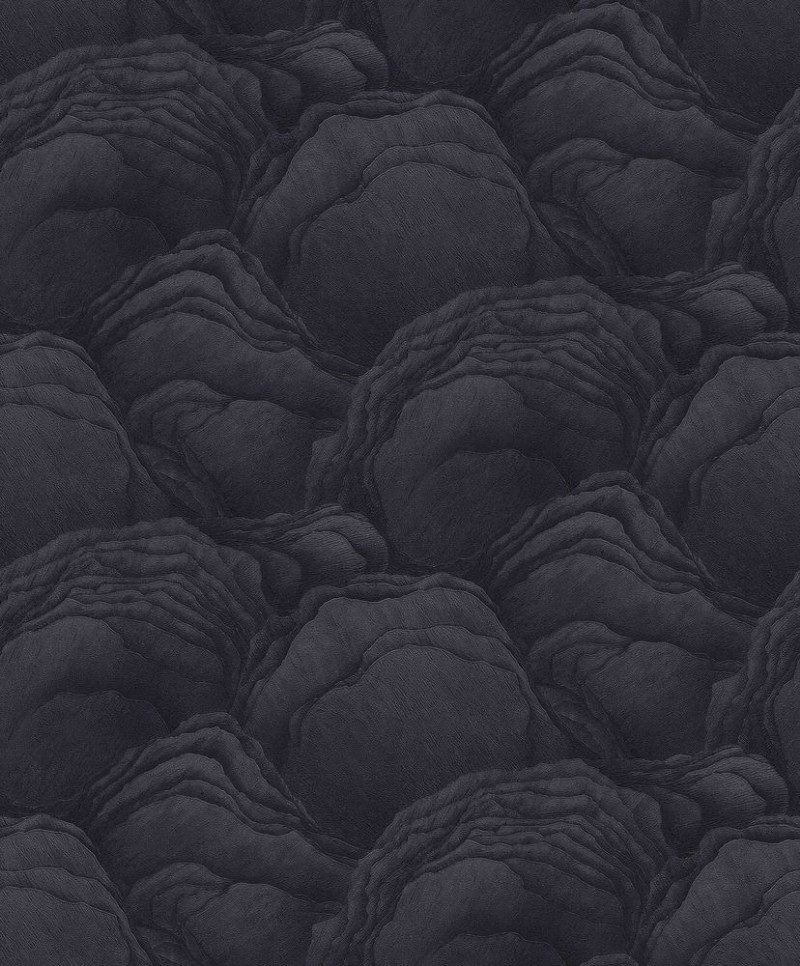 Picture of Focus - 10298-15