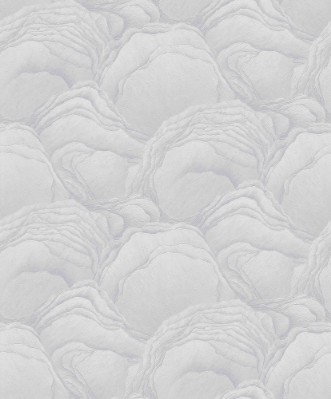 Picture of Focus - 10298-31