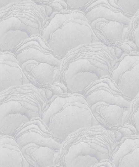 Afbeeldingen van Focus - 10298-31