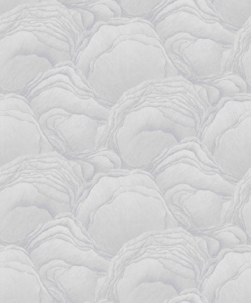 Picture of Focus - 10298-31