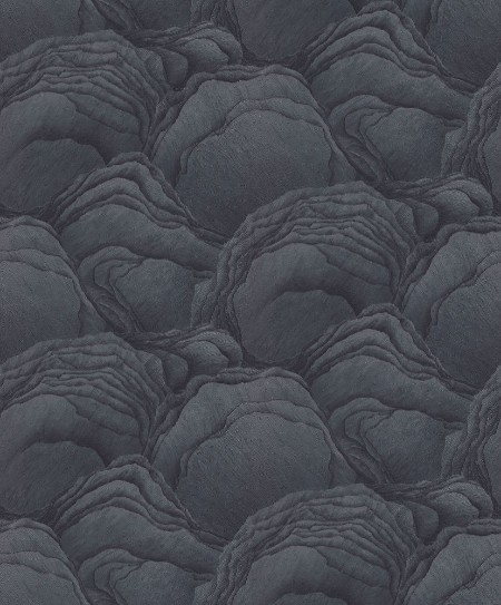 Afbeeldingen van Focus - 10298-44