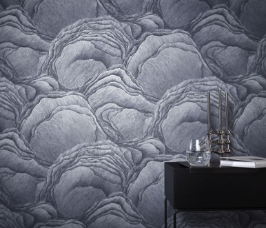 Image de Focus - 10298-44