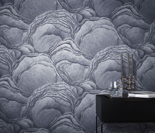 Afbeeldingen van Focus - 10298-44