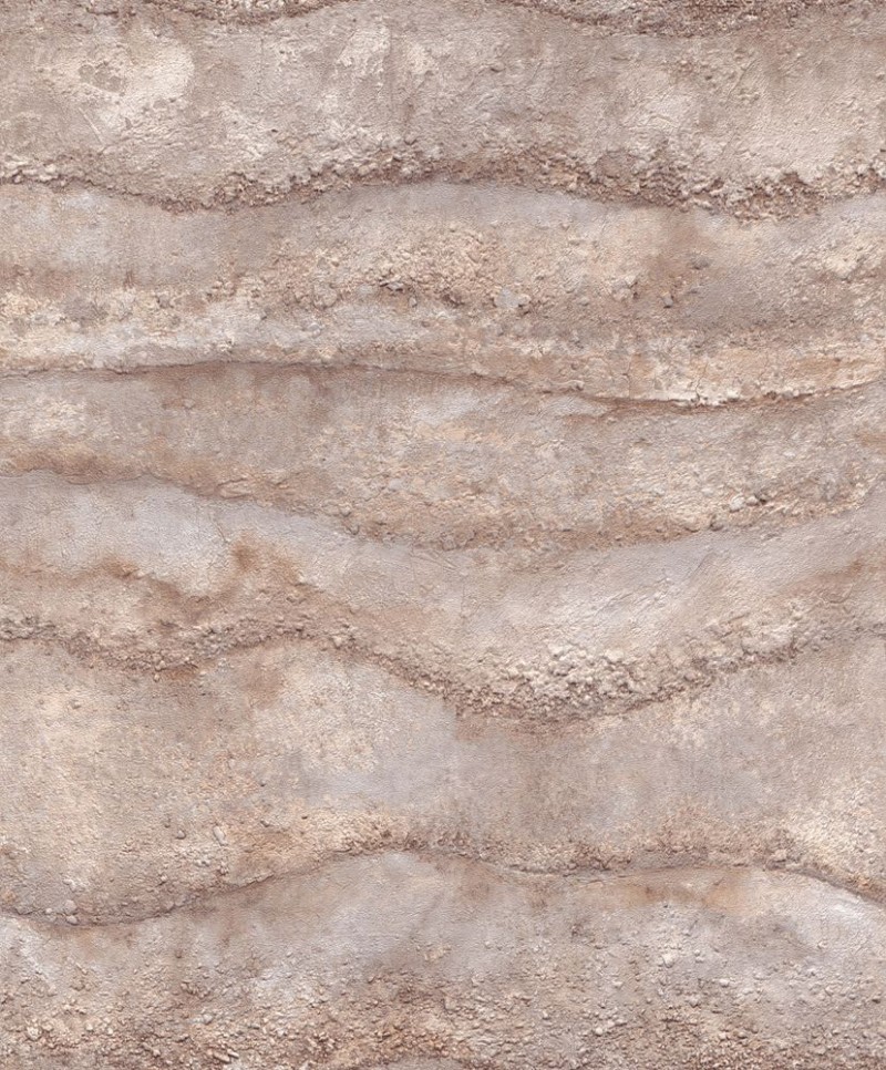 Picture of Focus - 10299-11