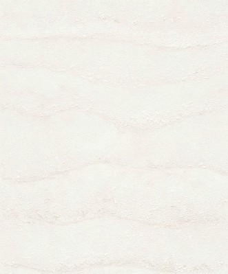 Picture of Focus - 10299-14