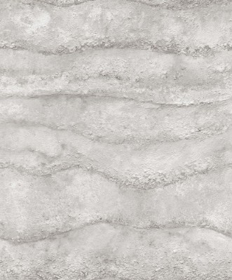 Picture of Focus - 10299-31