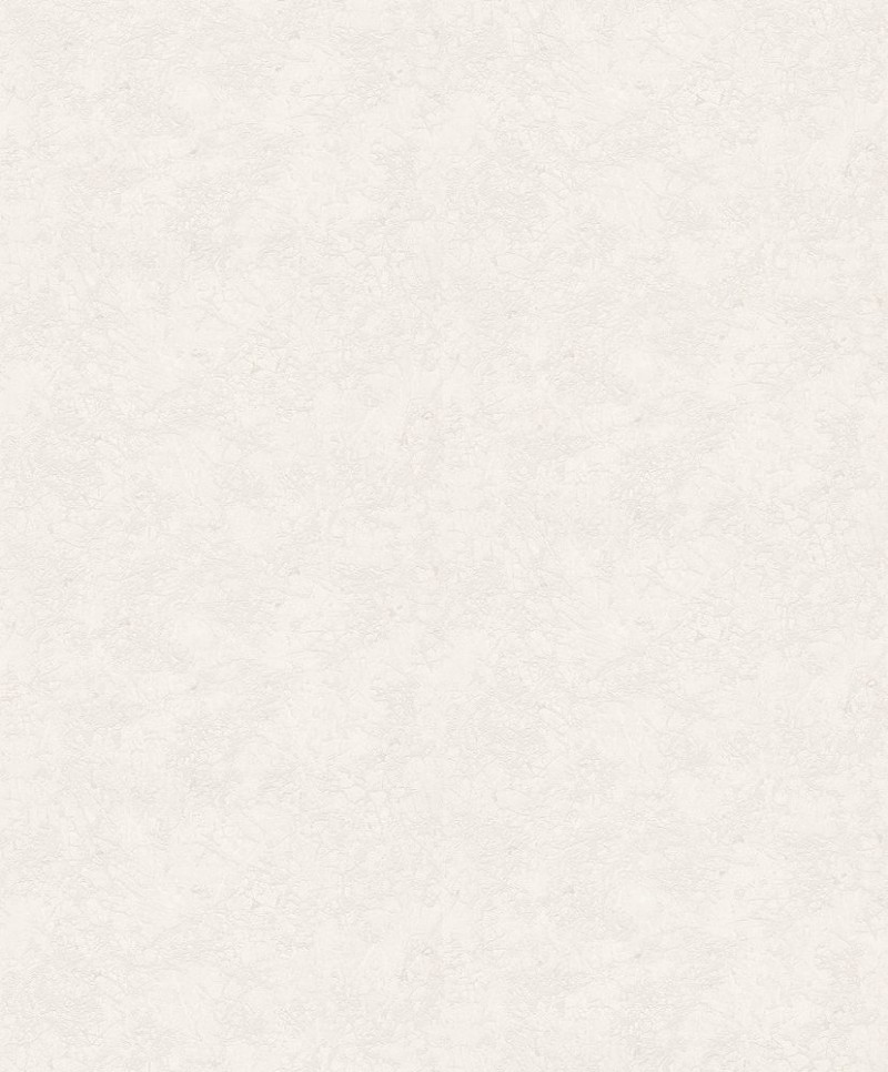 Afbeeldingen van Focus - 10302-26