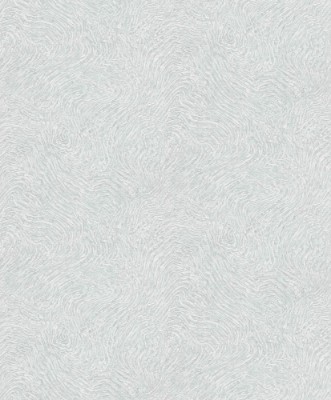 Afbeeldingen van Focus - 10303-10