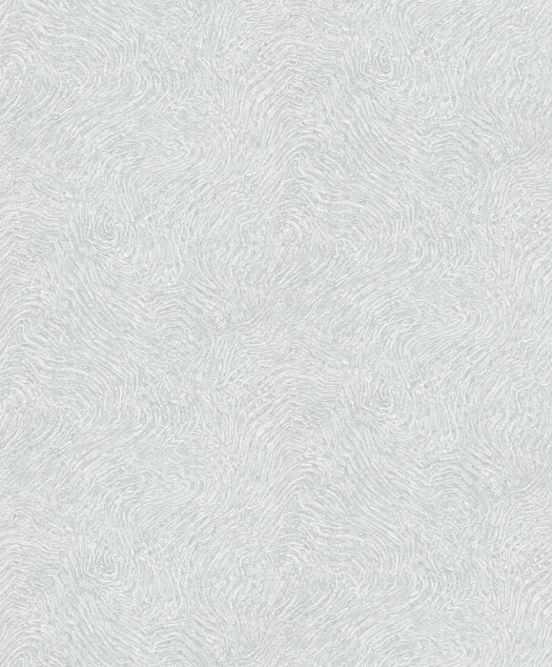 Image de Focus - 10303-10