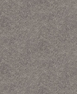 Picture of Focus - 10303-37