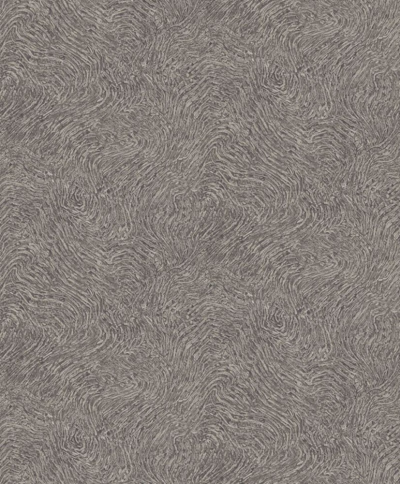 Picture of Focus - 10303-37