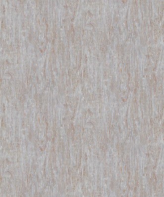 Picture of Focus - 10307-10