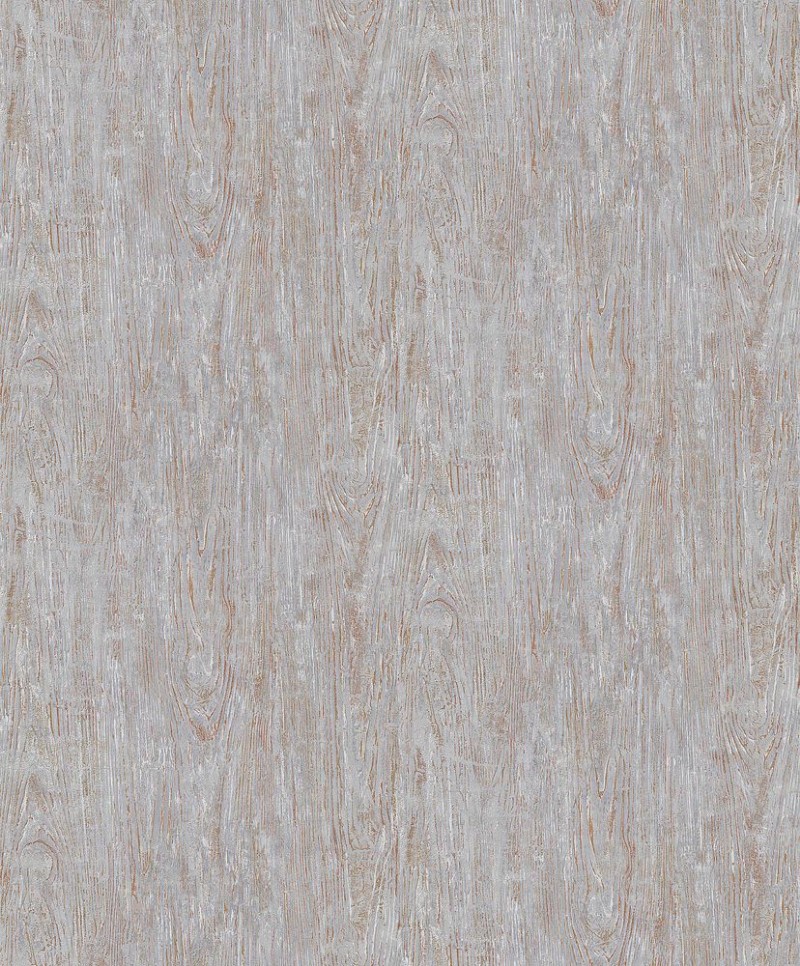 Image de Focus - 10307-10