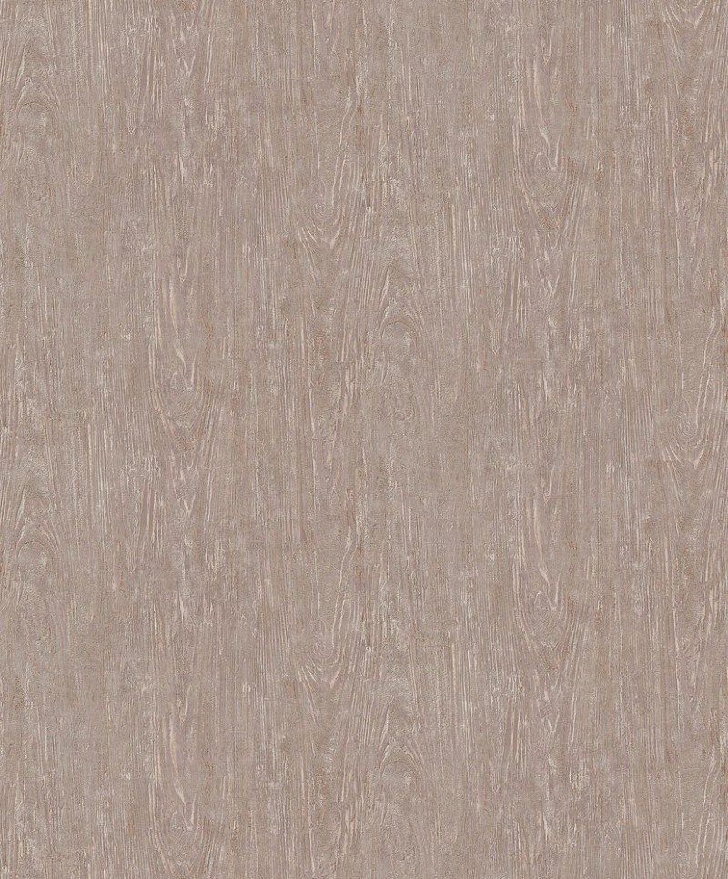 Picture of Focus - 10307-32