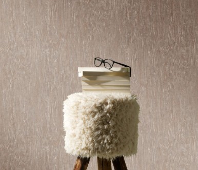 Picture of Focus - 10307-32