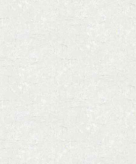 Afbeeldingen van Focus - 10315-01