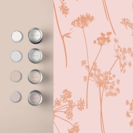 Picture of Anthriscus Blush - 105580