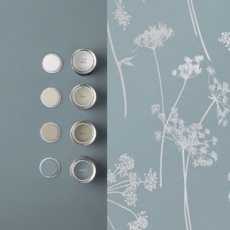 Picture of Anthriscus Breathe - 119882