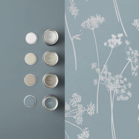 Picture of Anthriscus Breathe - 119882