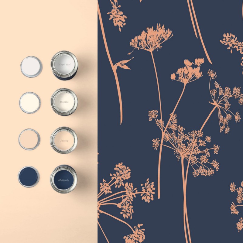 Bild på Anthriscus Dusk - 105581