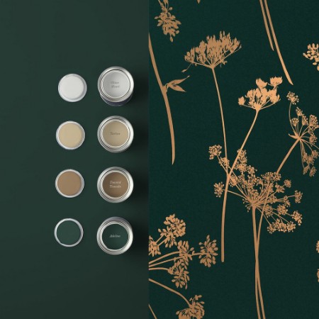 Picture of Anthriscus Emerald - 119881