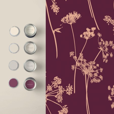 Picture of Anthriscus Plum - 105579