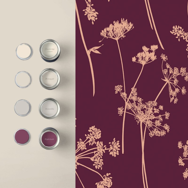 Picture of Anthriscus Plum - 105579