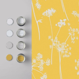 Picture of Anthriscus Summer - 105578