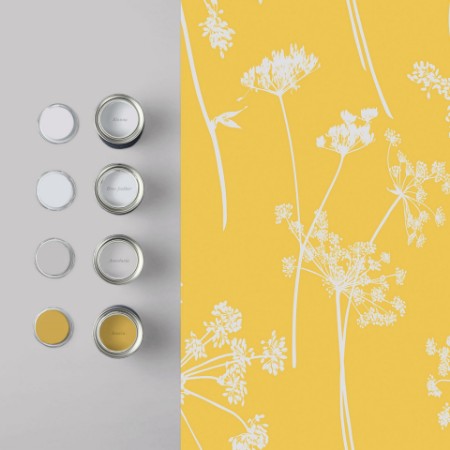 Picture of Anthriscus Summer - 105578