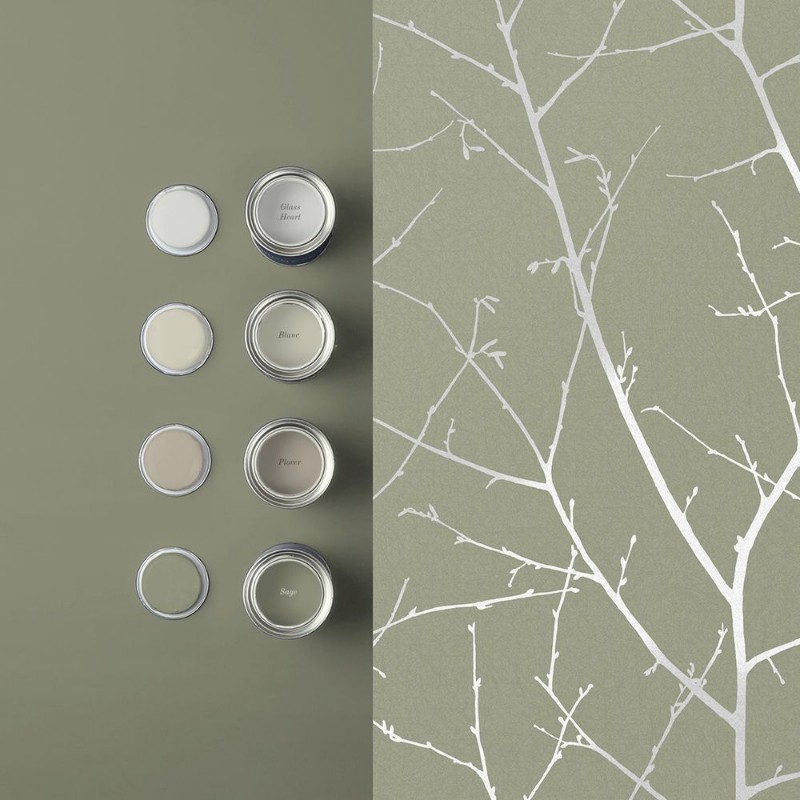 Picture of Boreas Sage - 119797