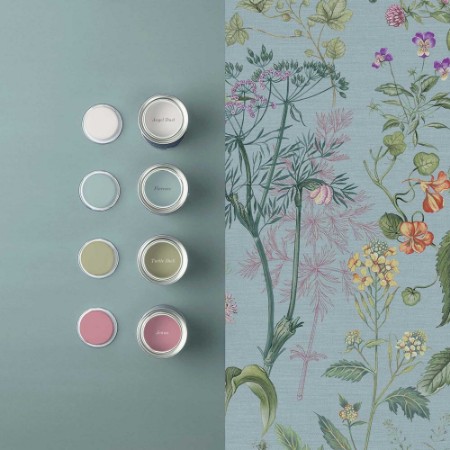 Picture of Edulis Sky - 118016