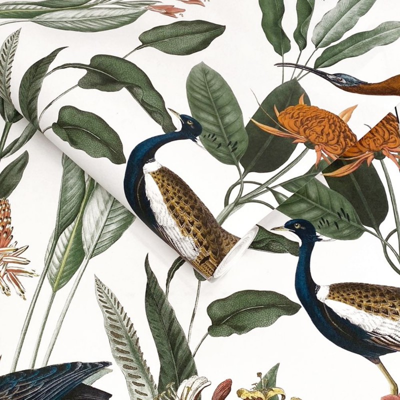 Picture of Glasshouse Day - 119883