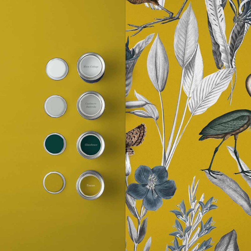 Picture of Glasshouse Mustard - 111720