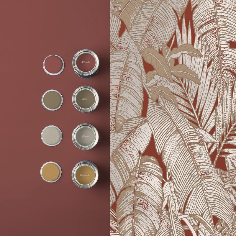 Picture of Paradys Alizarin - 119671